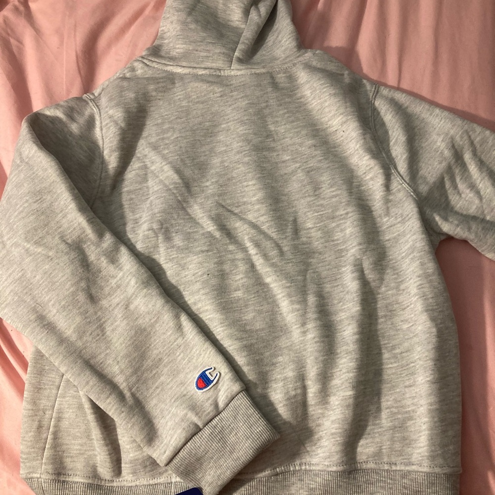 Champion Gray Hoodie with Logo - Picture 3 of 4